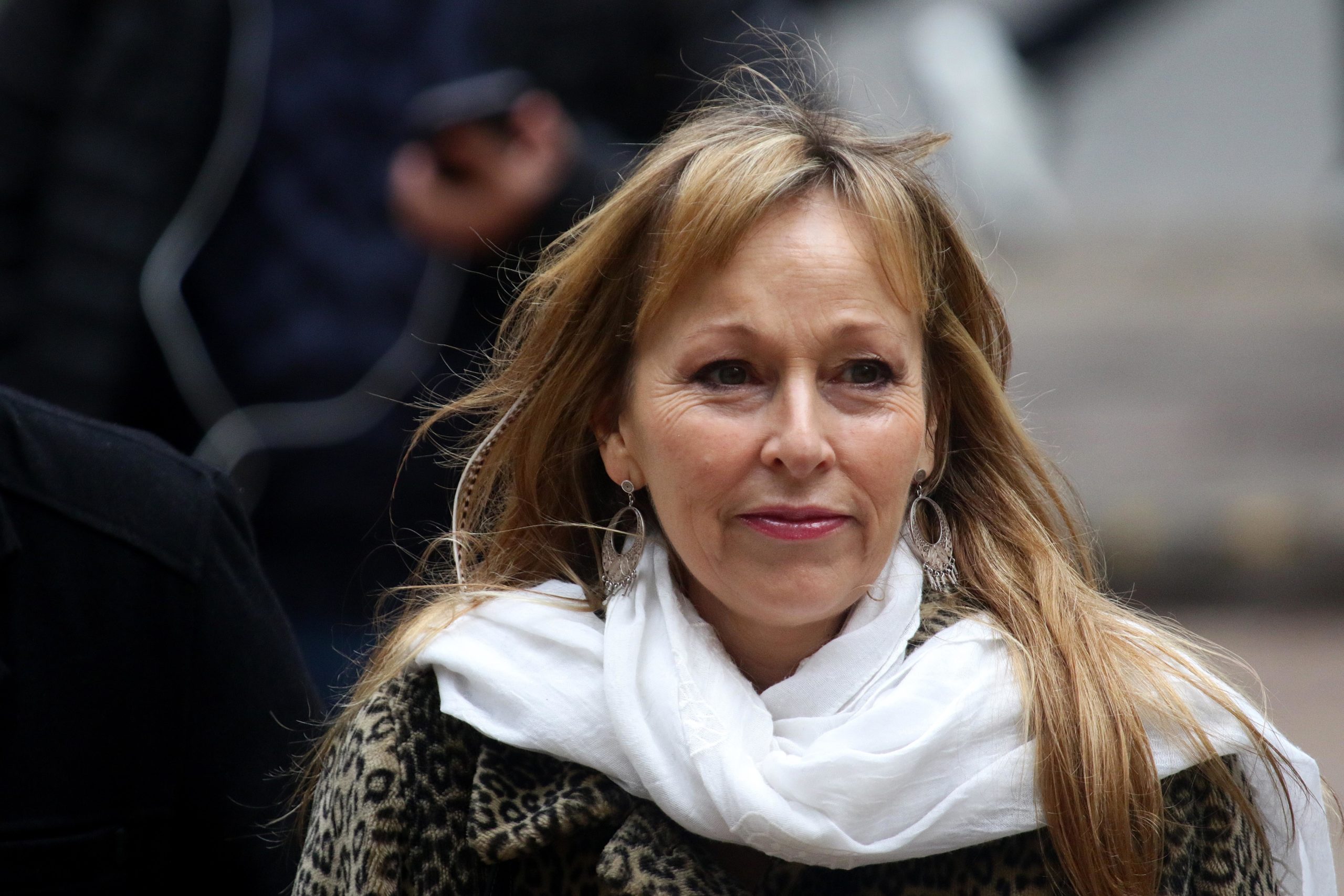 Ana María Gazmuri renunció a RD por discrepancias con proyecto de