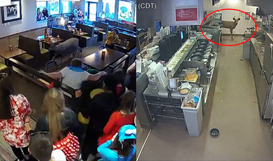 VIDEO: Un ciervo irrumpe en un restaurante de comida rápida en EEUU