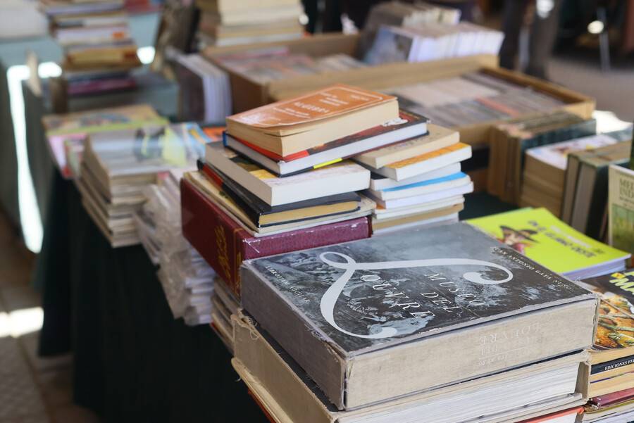 Escritores chilenos actuales: las voces que están marcando la literatura contemporánea