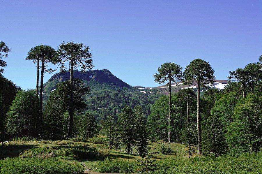 Destinos culturales de Chile: si vas a la Región del Biobío esto no te puedes perder