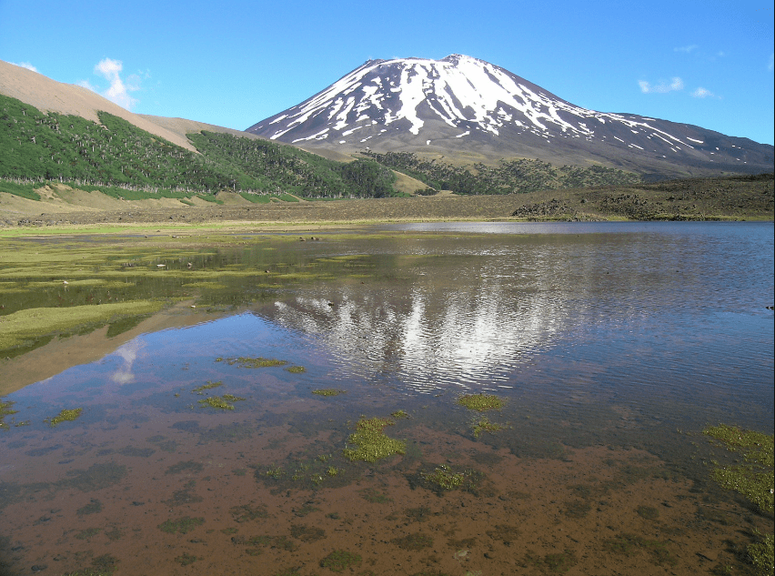 Vista hacia el Volcán Lonquimay 