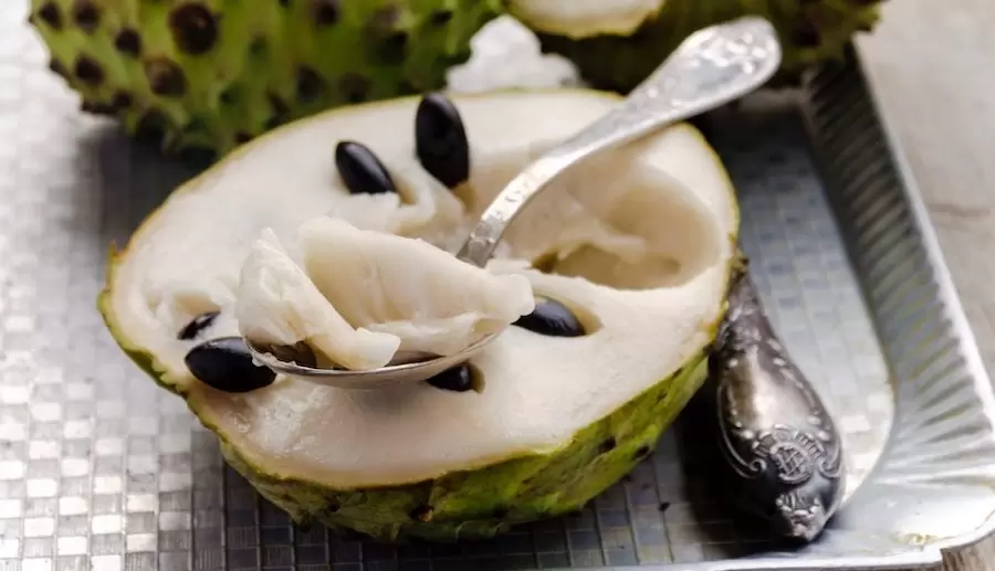 Lugares turísticos en Chile: Quillota y su cocina campesina con frutas, hortalizas y dulces típicos