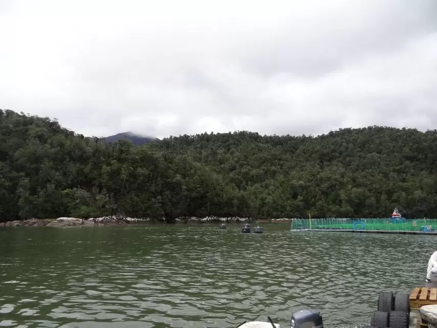 Comunidades indígenas evalúan recurrir a órganismos internacionales por cambios a Ley Lafkenche