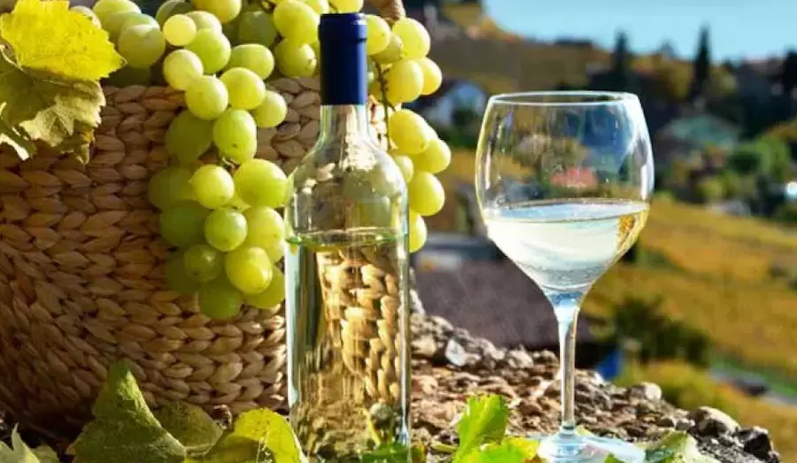 Lugares turísticos en Chile: Monte Patria y su cocina del valle con pisqueras artesanales y frutas locales