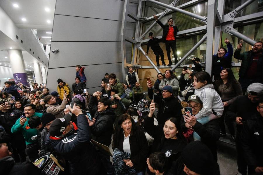 Vozinha en su llegada a Chile